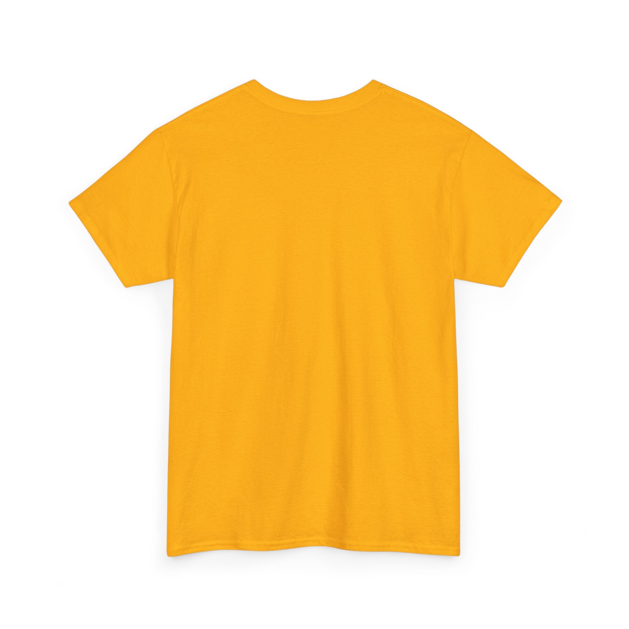 Focus-Product Care & Safety Info Tee | Washing Instructions, EU Representative Details