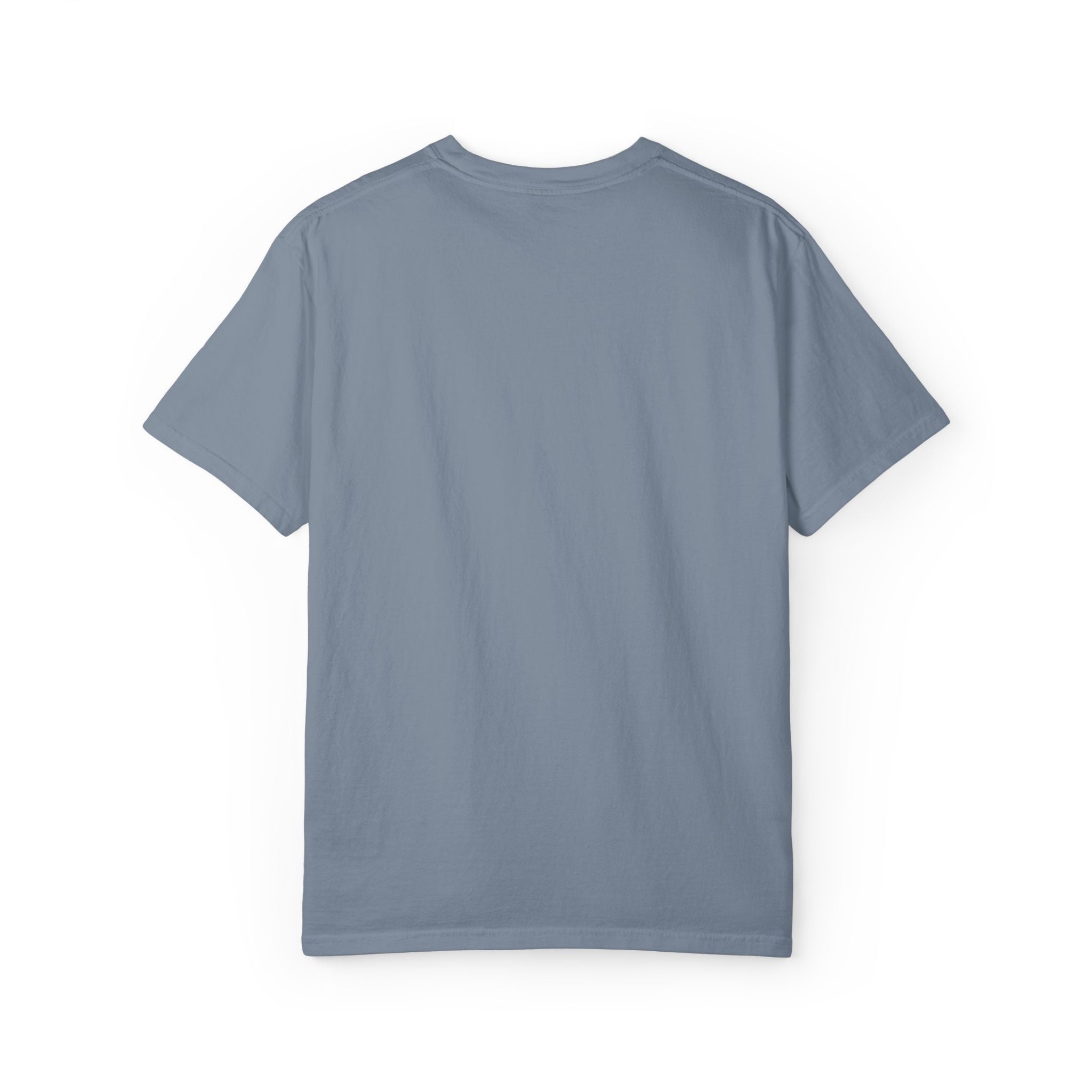 Garment-Dyed Comfort Colors T-Shirt — Care & EU Info Print