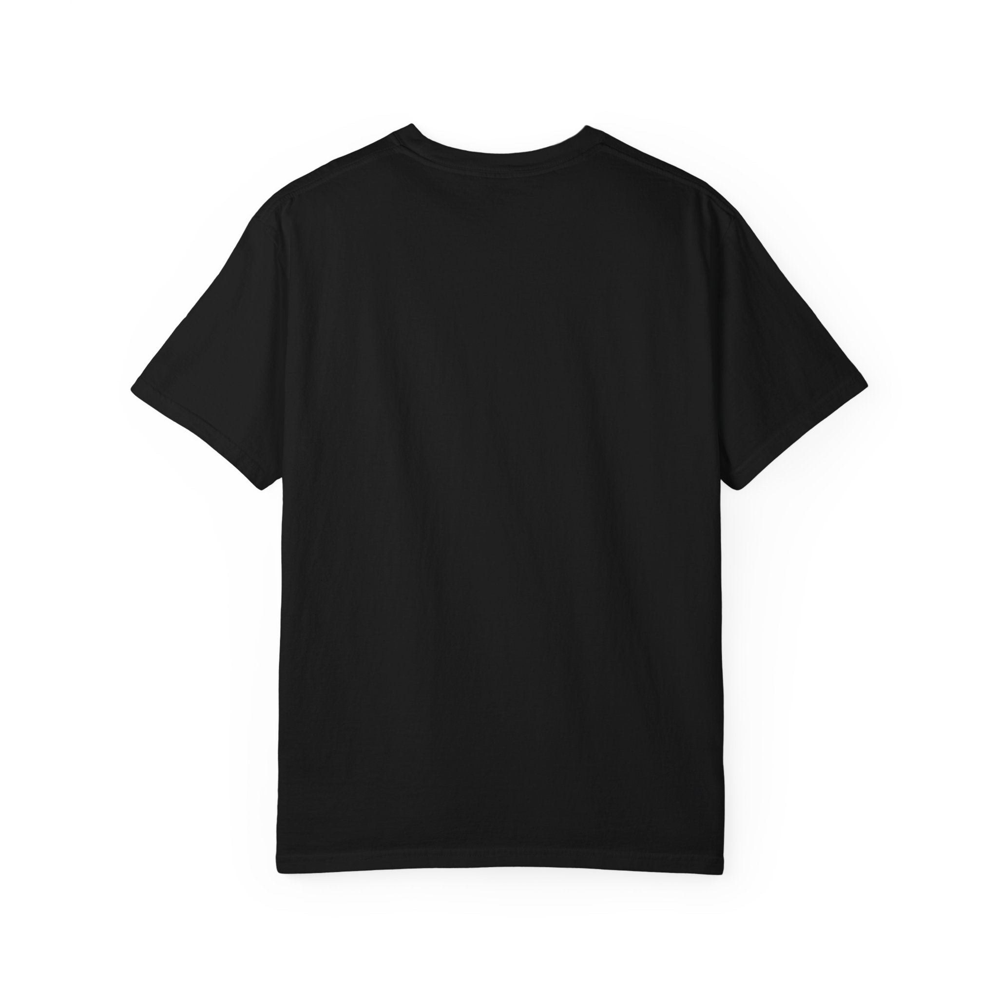 Garment-Dyed Comfort Colors T-Shirt — Care & EU Info Print